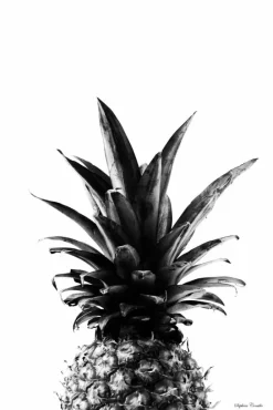 Pineapple B&W Plakat (21x29.7 cm (A4))