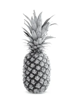 Pineapple Grey Plakat (21x29.7 cm (A4))