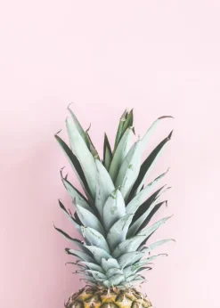 Pineapple Pink Plakat (21x29.7 cm (A4))