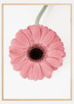 Pink Gerbera II Plakat (21x29.7 cm (A4))