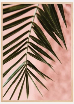 Pink pastell palm Plakat (21x29.7 cm (A4))