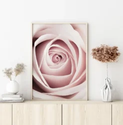 Pink Rose Plakat (21x29.7 cm (A4))
