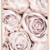 Pink Roses Plakat (21x29.7 cm (A4))