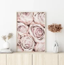 Pink Roses Plakat (21x29.7 cm (A4))