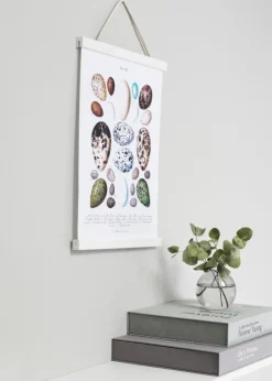 Plakatlister Hvid - 20 cm