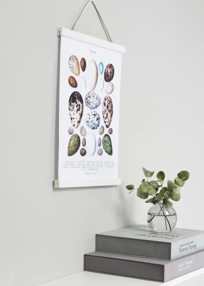 Plakatlister Hvid - 20 cm