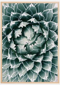 Plant Plakat (21x29.7 cm (A4))