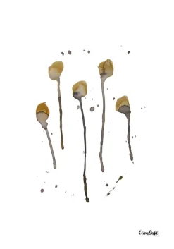 Plants III Plakat (21x29.7 cm (A4))