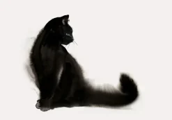 Playful Plakat (21x29.7 cm (A4))