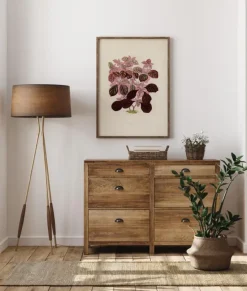 Plectranthus Scutellarioides II Plakat (21x29.7 cm (A4))