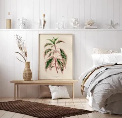 Plectranthus Scutellarioides III Plakat (21x29.7 cm (A4))