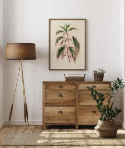 Plectranthus Scutellarioides III Plakat (21x29.7 cm (A4))