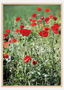 Poppy Fields Plakat (21x29.7 cm (A4))