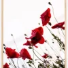 Poppy Plakat (21x29.7 cm (A4))