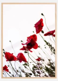 Poppy Plakat (21x29.7 cm (A4))