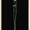 Poppy Pods Plakat (21x29.7 cm (A4))