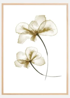 Pressed Flowers Plakat (21x29.7 cm (A4))
