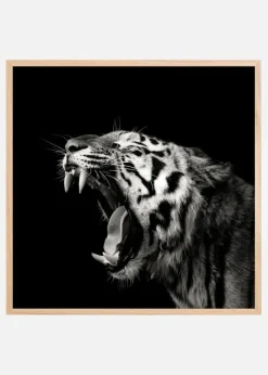Primal Yawn #4 Plakat (30x30 cm)