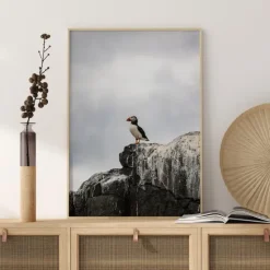 Puffin Plakat (21x29.7 cm (A4))