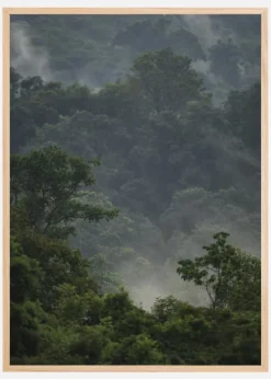 Rainforest Plakat (21x29.7 cm (A4))