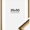 Ramme Abisko Guld 35x50 cm - Passepartout Hvid 11x17 inches (27,94x43,18 cm)