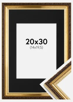 Ramme Abisko Guld 20x30 cm - Passepartout Sort 15x21 cm (A5)
