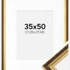 Ramme Abisko Guld 35x50 cm - Passepartout Hvid 9x12 inches (22,86x30,48 cm)