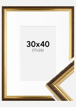 Ramme Abisko Guld 30x40 cm - Passepartout Hvid 18x27 cm
