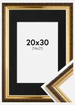 Ramme Abisko Guld 20x30 cm - Passepartout Sort 15x22 cm