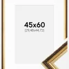 Ramme Abisko Guld 45x60 cm - Passepartout Hvid 12x18 inches (30,48x45,72 cm)