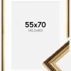 Ramme Abisko Guld 55x70 cm - Passepartout Hvid 43,2x61 cm (A2+)