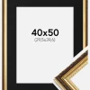 Ramme Abisko Guld 40x50 cm - Passepartout Sort 12x16 inches (30,48x40,64 cm)