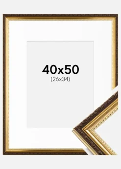 Ramme Abisko Guld 40x50 cm - Passepartout Hvid 27x35 cm