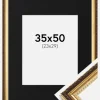 Ramme Abisko Guld 35x50 cm - Passepartout Sort 24x30 cm