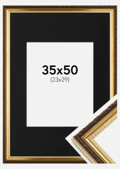 Ramme Abisko Guld 35x50 cm - Passepartout Sort 24x30 cm