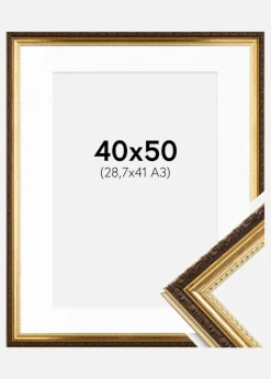 Ramme Abisko Guld 40x50 cm - Passepartout Hvid 29,7x42 cm (A3)