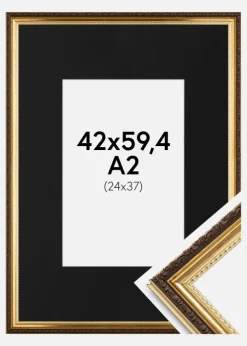Ramme Abisko Guld 42x59,4 cm (A2) - Passepartout Sort 25x38 cm