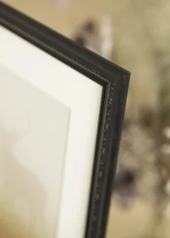 Ramme Abisko Sort 50x70 cm - Passepartout Hvid 42x59,4 cm (A2)