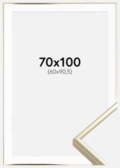 Ramme Aluminium Blank Guld 70x100 cm - Passepartout Hvid 61x91,5 cm