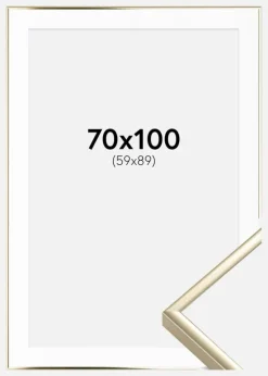 Ramme Aluminium Blank Guld 70x100 cm - Passepartout Hvid 60x90 cm