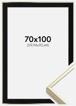 Ramme Aluminium Blank Guld 70x100 cm - Passepartout Sort 24x36 inches