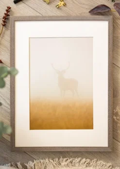 Ramme Ares Grå 45x60 cm - Passepartout Hvid 30x45 cm