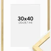 Ramme Ares Guld 30x40 cm - Passepartout Hvid 21x29,7 cm