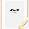 Ramme Ares Guld 45x60 cm - Passepartout Hvid 35x48 cm