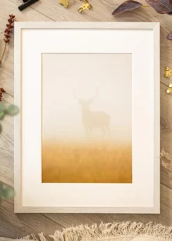 Ramme Ares Hvid Eg 30x45 cm - Passepartout Hvid 8x14 inches