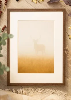 Ramme Ares Valnød 30x40 cm - Passepartout Hvid 18x27 cm