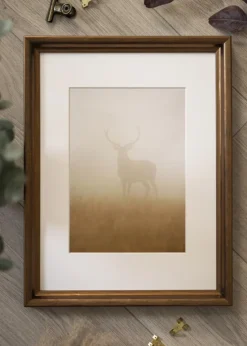 Ramme Arjeplog Bronze - Valgfri Størrelse (Plexiglas)