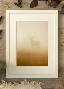 Ramme BGA Classic Hvid 70x90 cm - Passepartout Hvid 24x30 inches