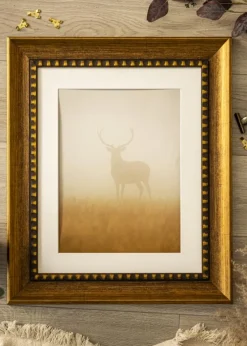 Ramme Camden Guld - Valgfri Størrelse (Akrylglas)