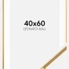 Ramme Desire Guld 40x60 cm - Passepartout Hvid 32,9x48,3 cm (A3+)
